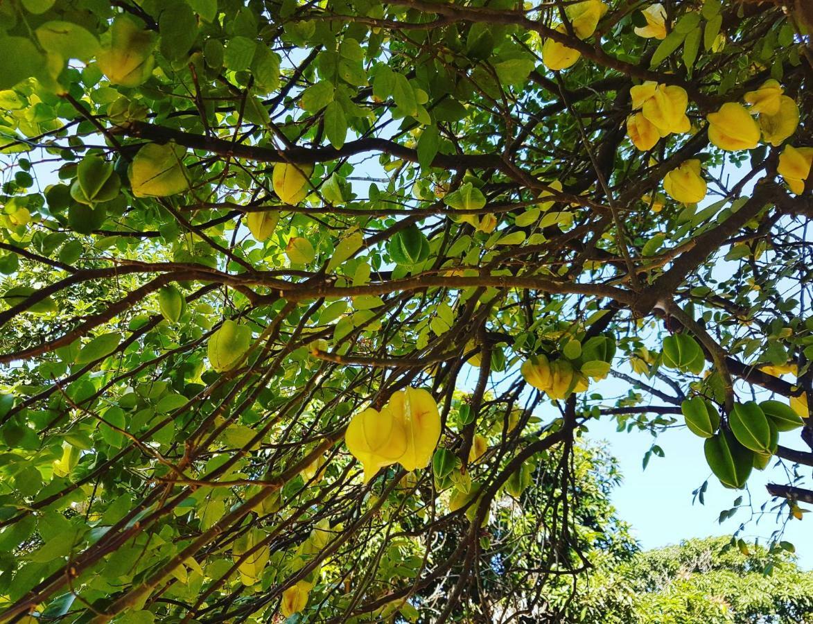 Paradise Hostel E Camping Cabo Frio Kültér fotó